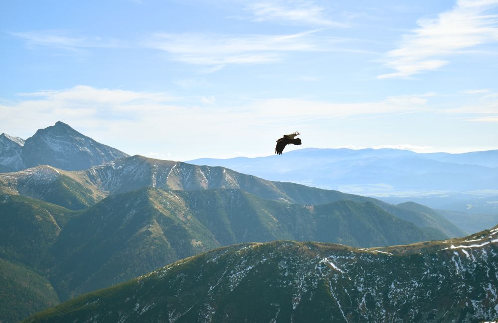 Archetypen der Seele Workshop Archetypen der Seele Yoga Retreat